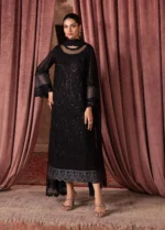 Premium Women Fancy Black Heavy Embroidery 3PC