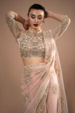 Premium Embroidery Lumiere Luxury Net Stitched Saree