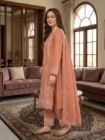 Heavy Embroidered Karandi 3-Piece Suit - Image 2