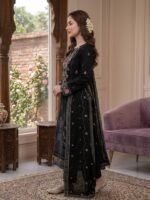 Heavy Embroidered Karandi 3-Piece Suit - Image 2